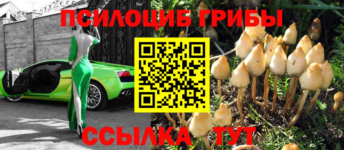 Лабинск  Галлюциногенные грибы мухоморы  Псилоцибиновые грибы Psilocybe  Вход с VPN 